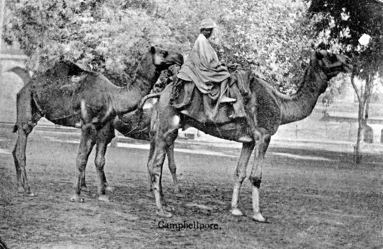 Campbellpore, Pakistan, XX secolo da Unbekannt