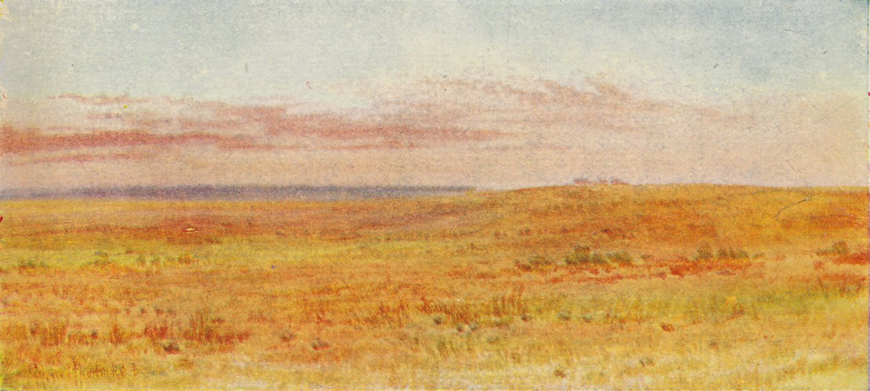 Prateria canadese, 1924 da Unbekannt