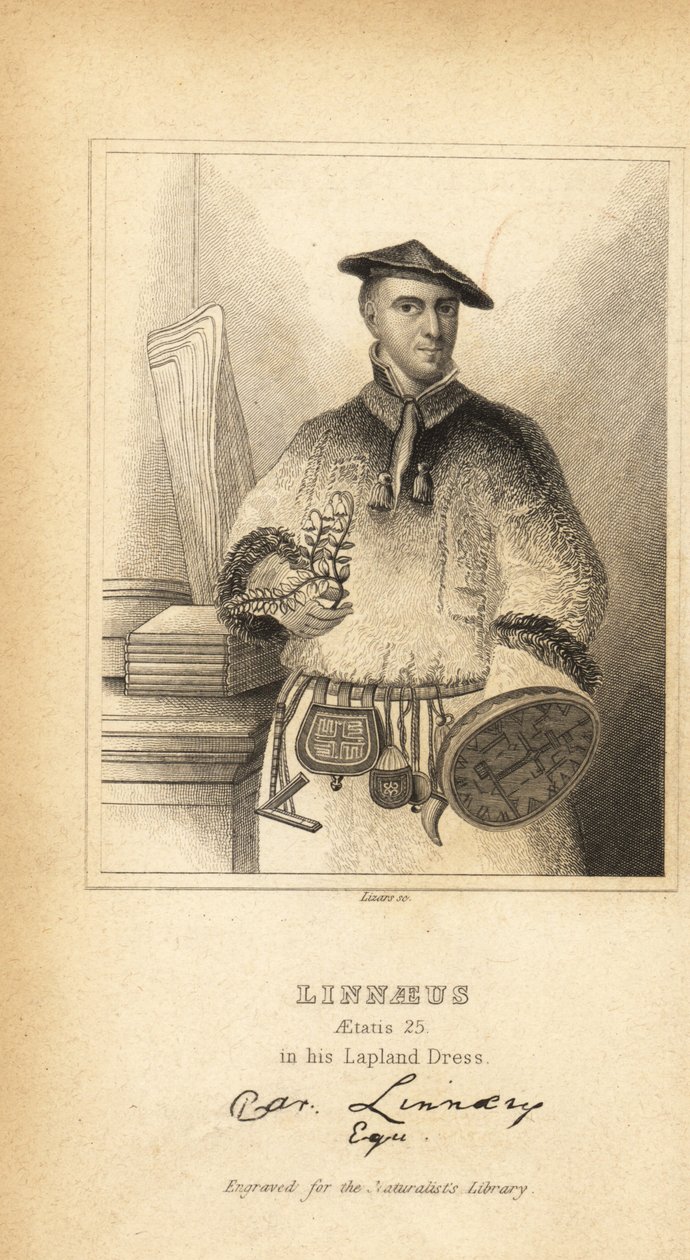 Carl Linnaeus nel suo abito lappone, botanico, medico e zoologo svedese, inventore della nomenclatura binomiale da Unbekannt