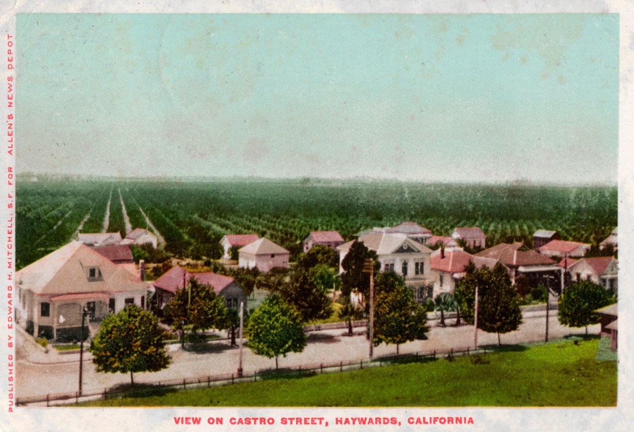Castro Street, Hayward, California, 1905 da Unbekannt