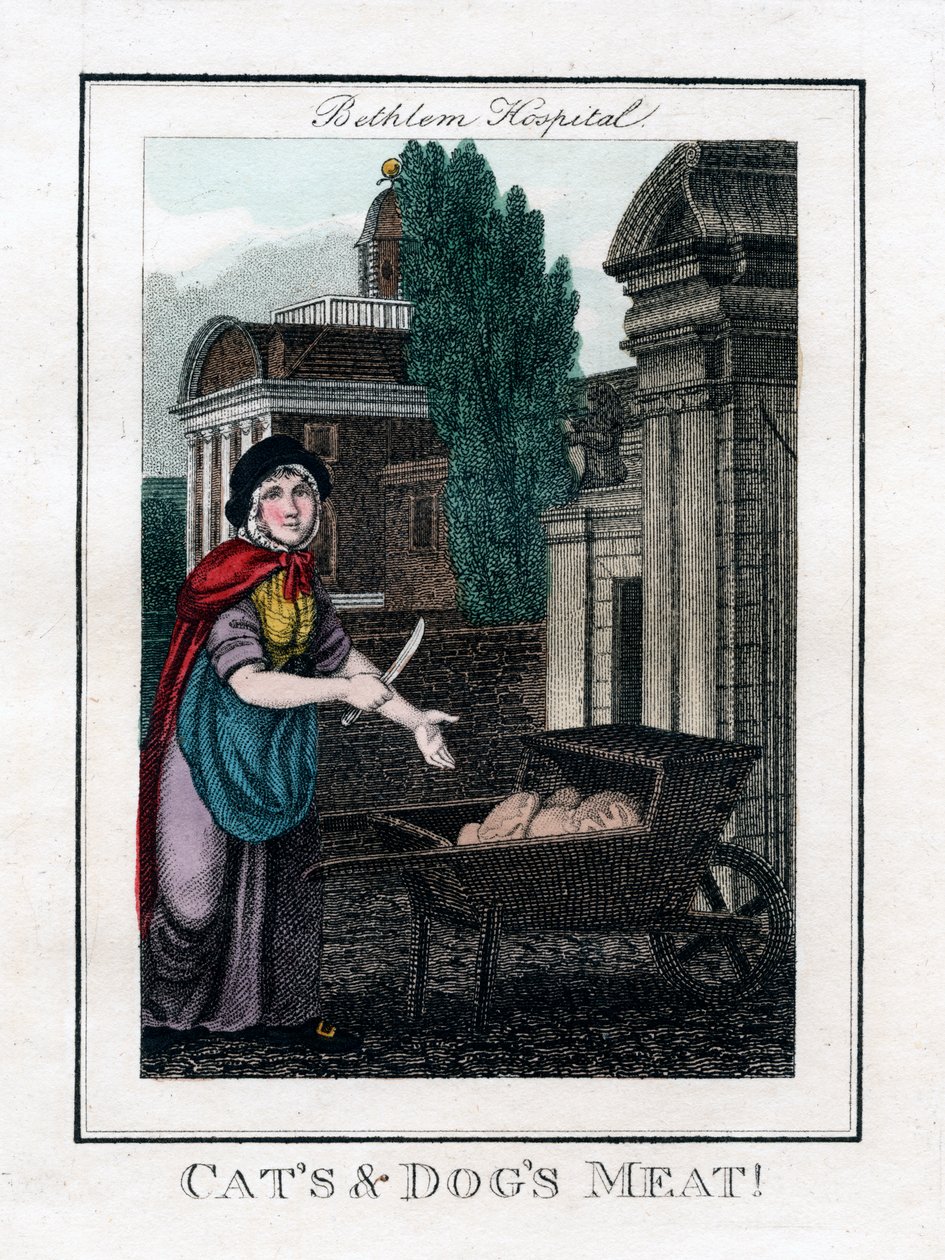 Carne di gatti e cani!, Bethlem Hospital, Londra, 1805 da Unbekannt