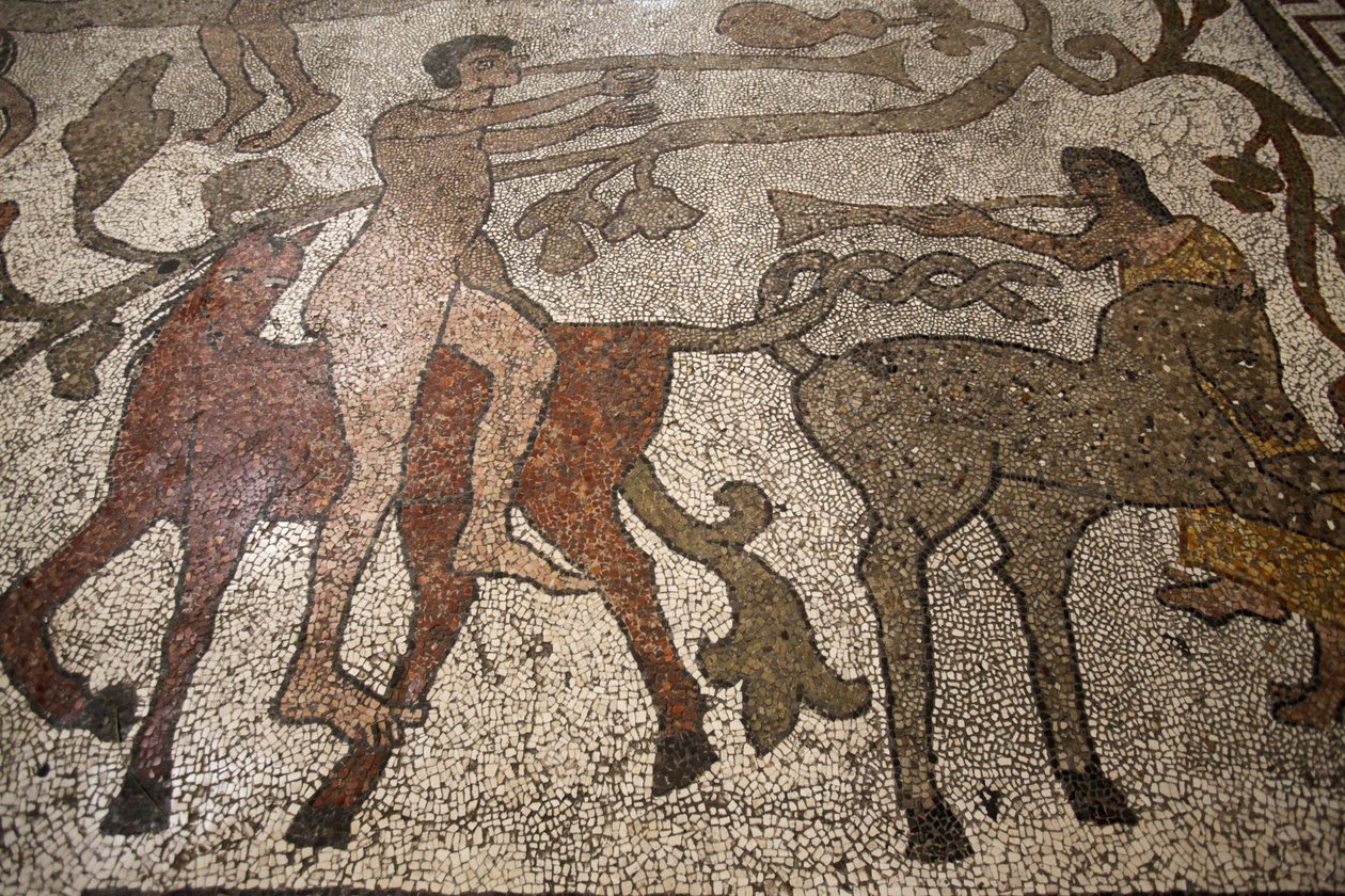 Mosaico della navata centrale sul pavimento del duomo di Otranto: cavalieri, Otranto, Italia da Unbekannt