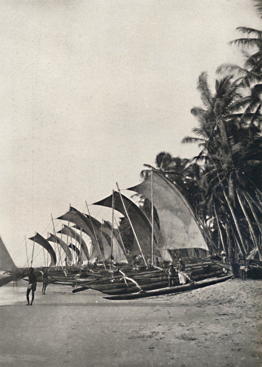 Barche da pesca ceylonesi con bilanciere, 1926 da Unbekannt