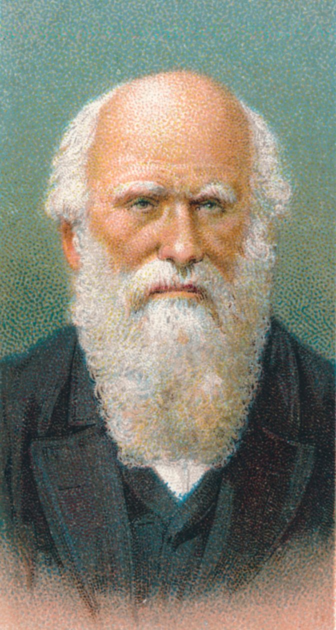 Charles Darwin 1809-1882, naturalista britannico, 1924 da Unbekannt