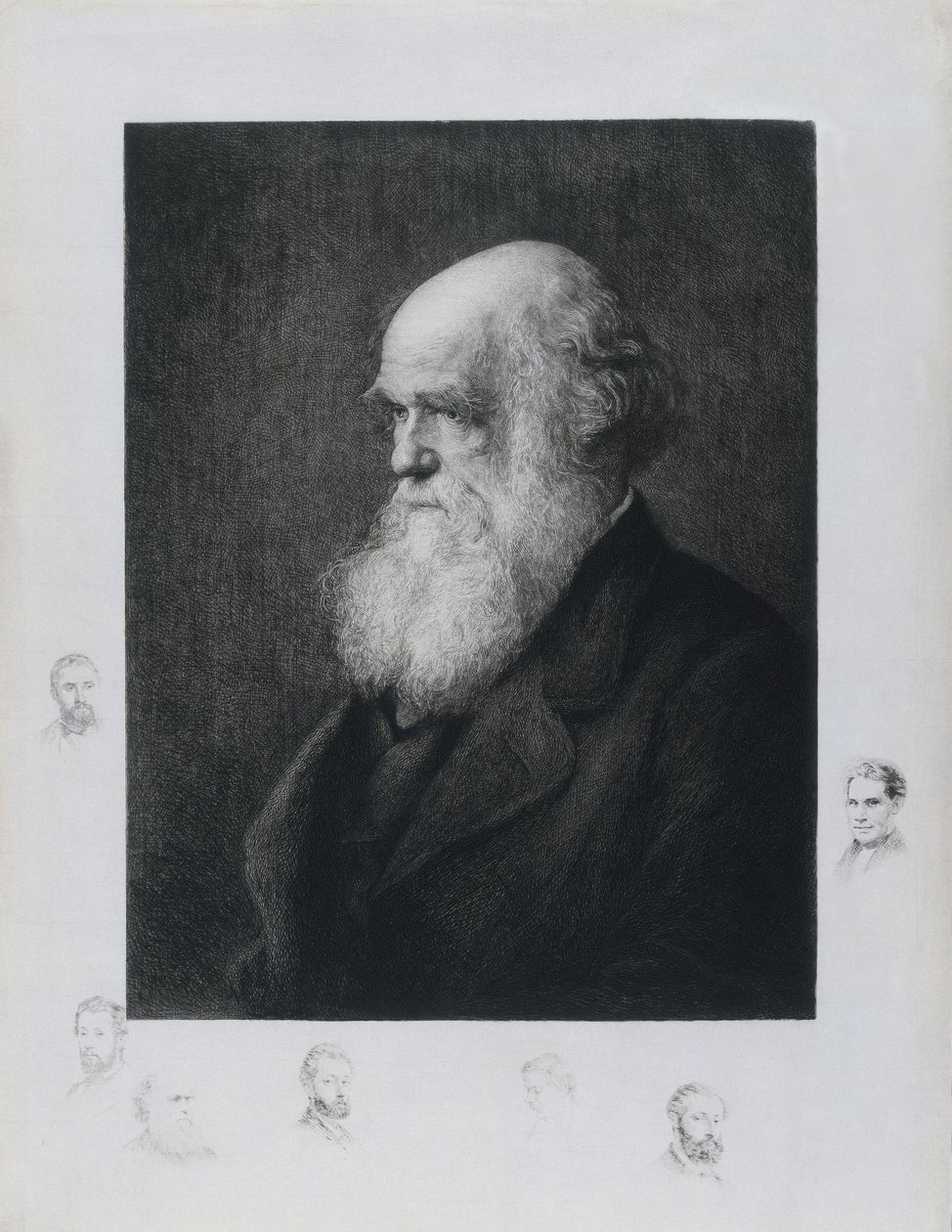 Charles Darwin, naturalista inglese, c 1860s da Unbekannt