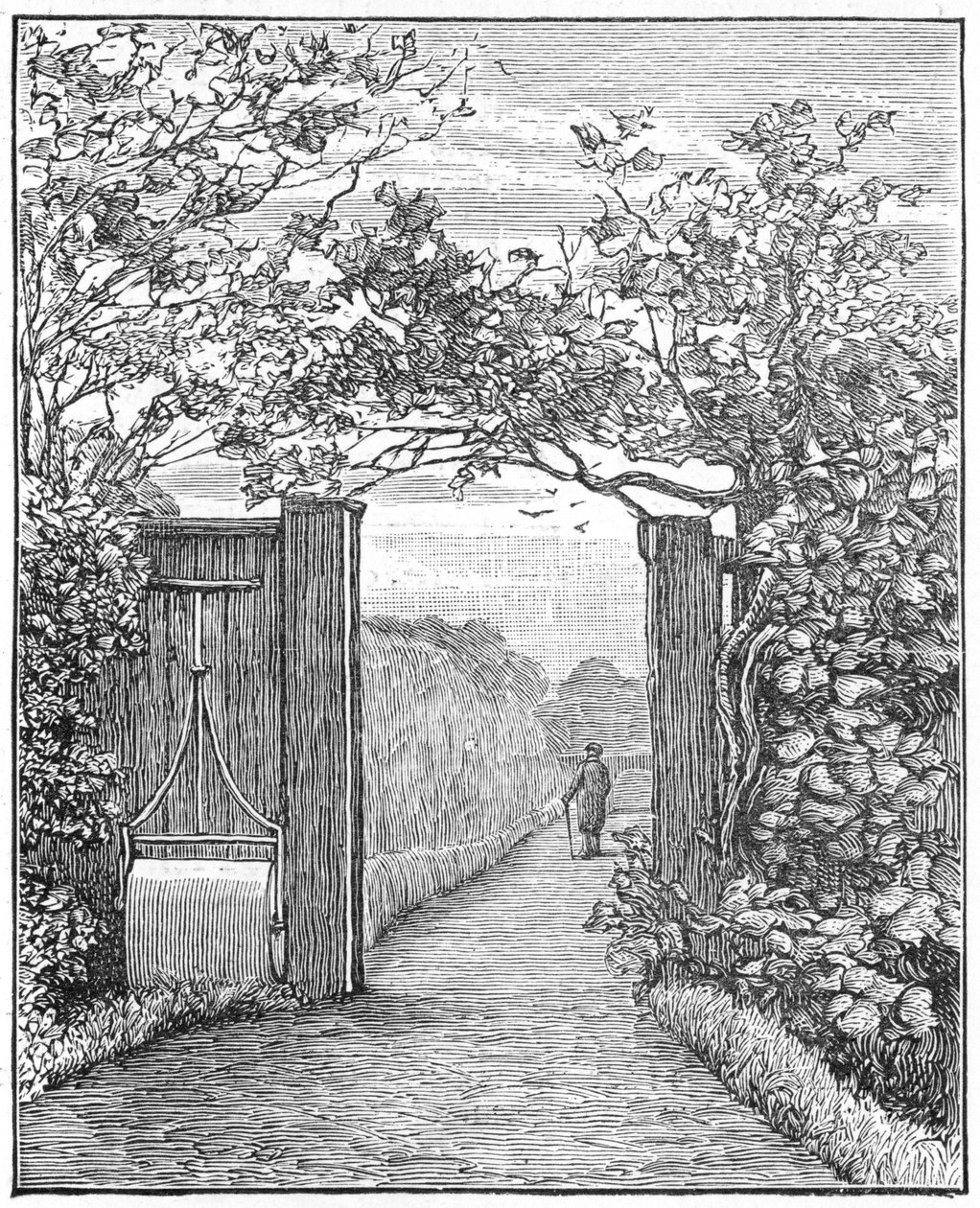 Charles Darwin nella passeggiata sabbiosa a Down House, c1870 1887 da Unbekannt