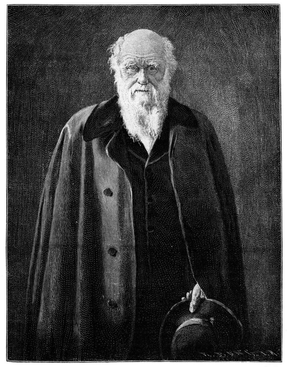 Charles Darwin, rinomato naturalista e pensatore, 1900 da Unbekannt