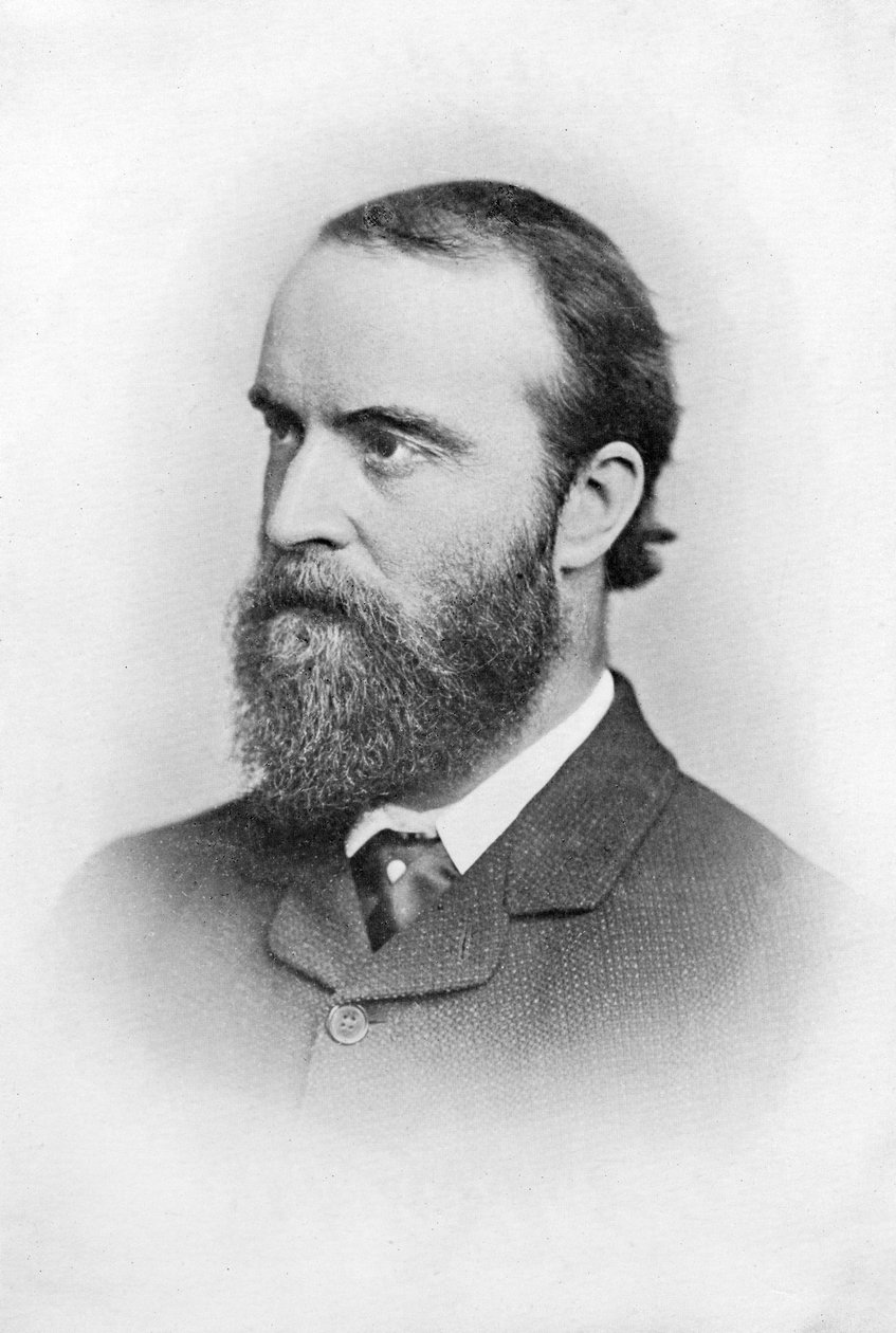 Charles Stuart Parnell, politico irlandese del 19° secolo, c1874-1891 da Unbekannt