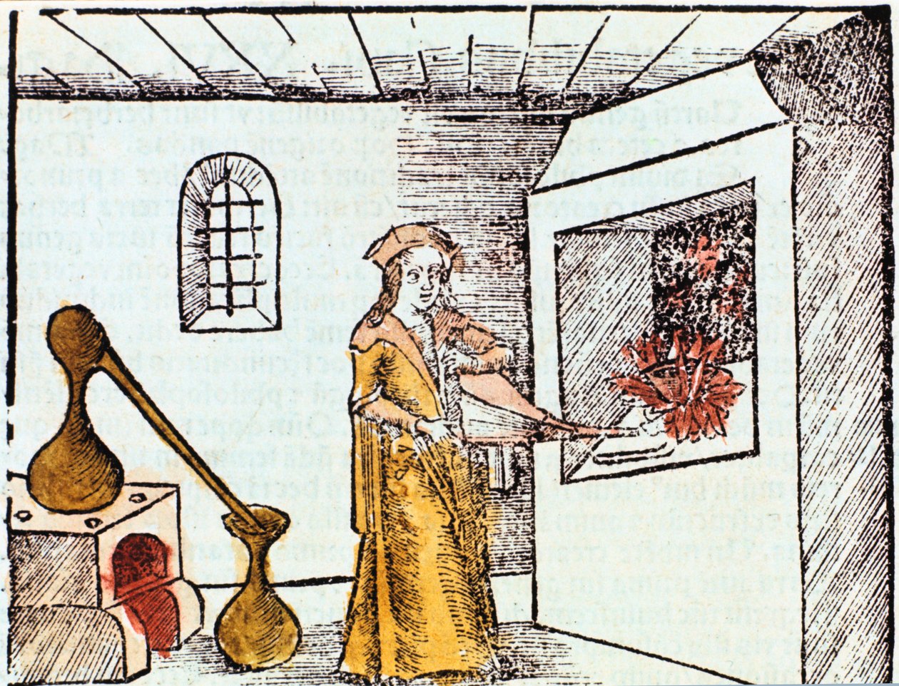 Chimico, 1508 da Unbekannt