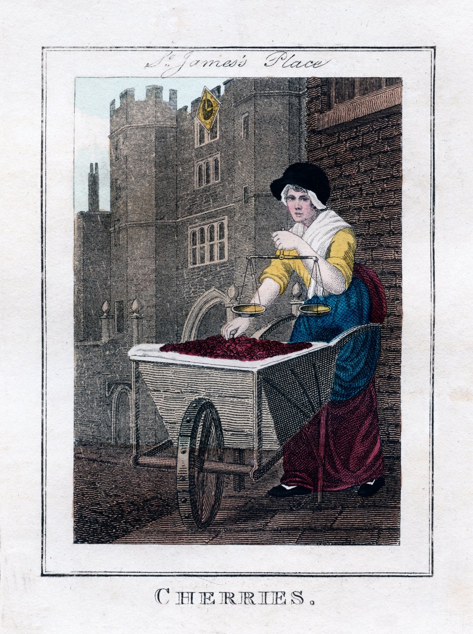 Ciliegie, Palazzo di St James, Londra da Unbekannt