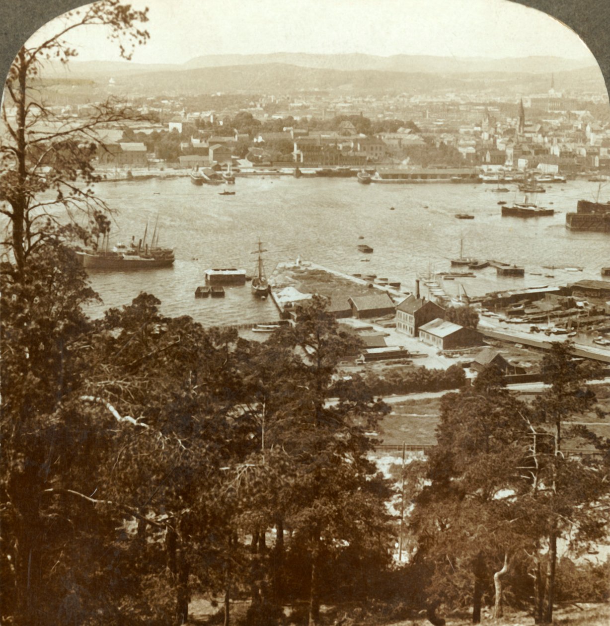 Christiania e il suo porto affollato, N.W. dall