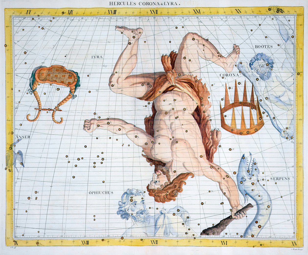 Costellazioni di Ercole, Corona e Lira, 1729 da Unbekannt