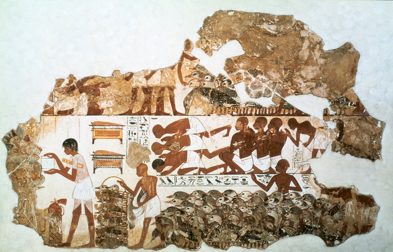 Contare le oche: frammento di pittura murale dalla tomba di Nebamun, Tebe, Egitto, c1350 a.C. da Unbekannt