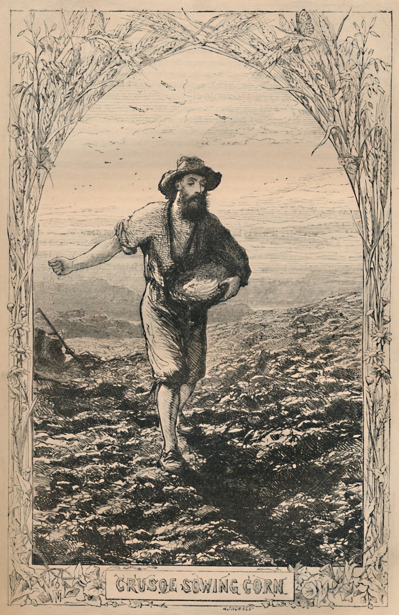 Crusoe che semina mais, c1870 da Unbekannt