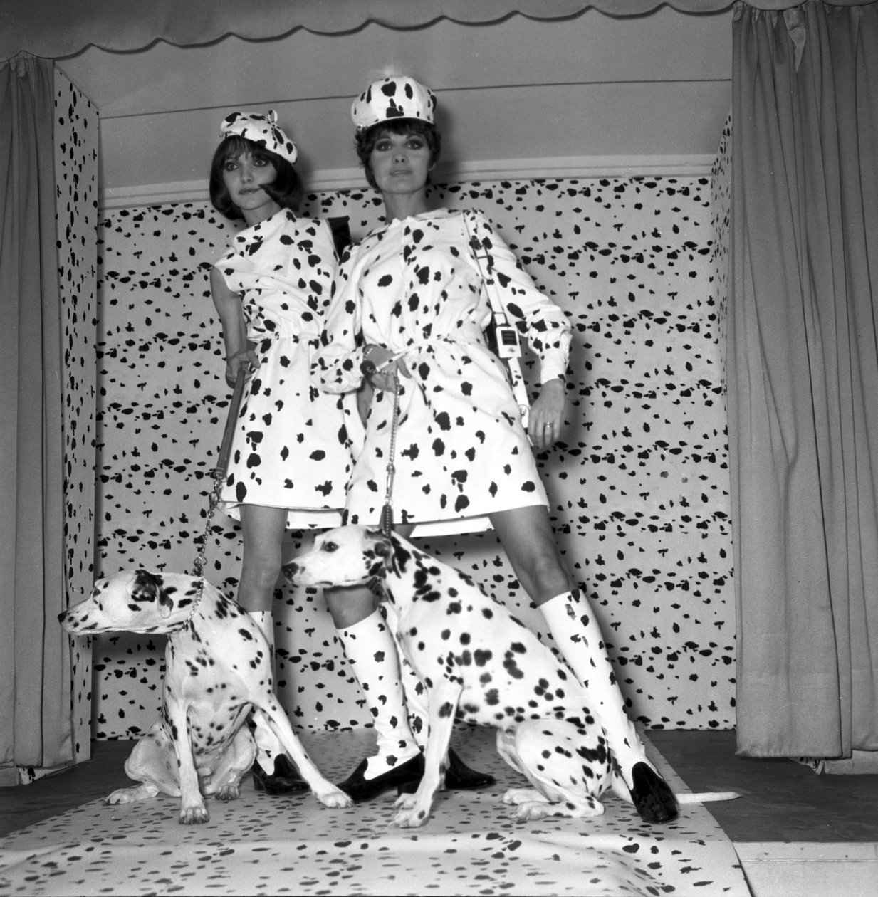 Moda dalmata da Unbekannt
