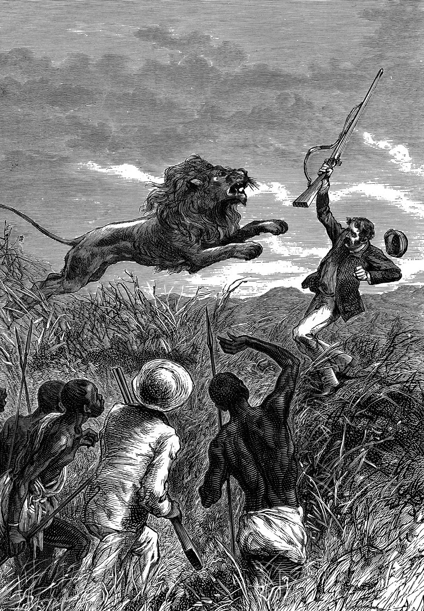 David Livingstone, missionario scozzese ed esploratore africano, attaccato da un leone, c1860 da Unbekannt