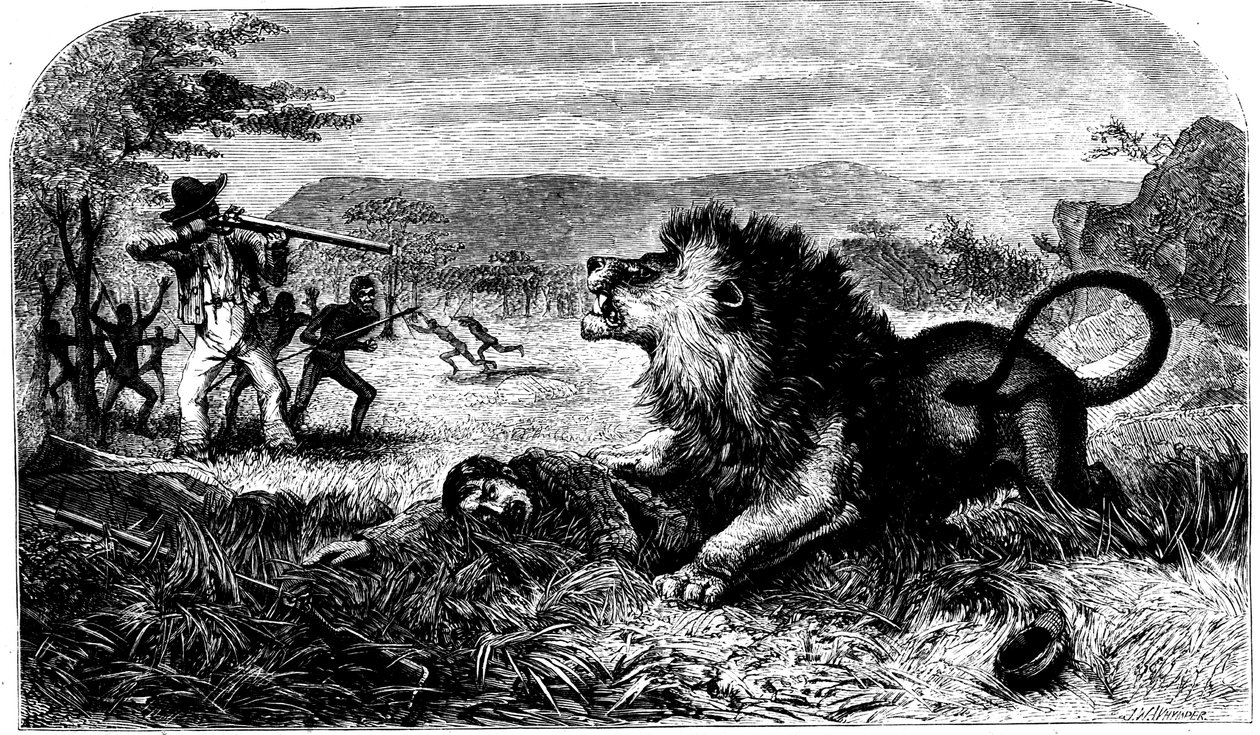 David Livingstone, salvato da un leone da Mebalwe, un maestro di scuola nativo da Unbekannt