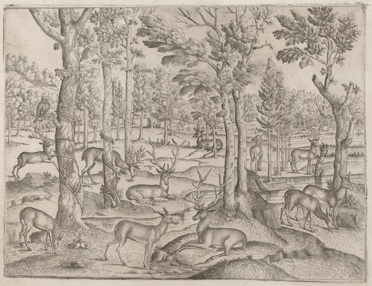 Cervi nella foresta, c. 1520 da Unbekannt