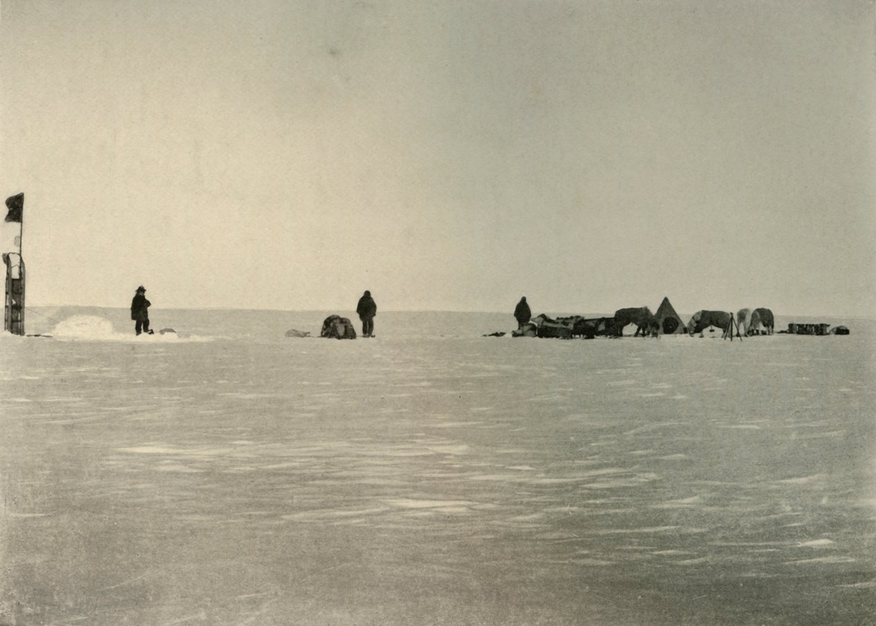 Depot A, disposto in primavera, 1908 da Unbekannt