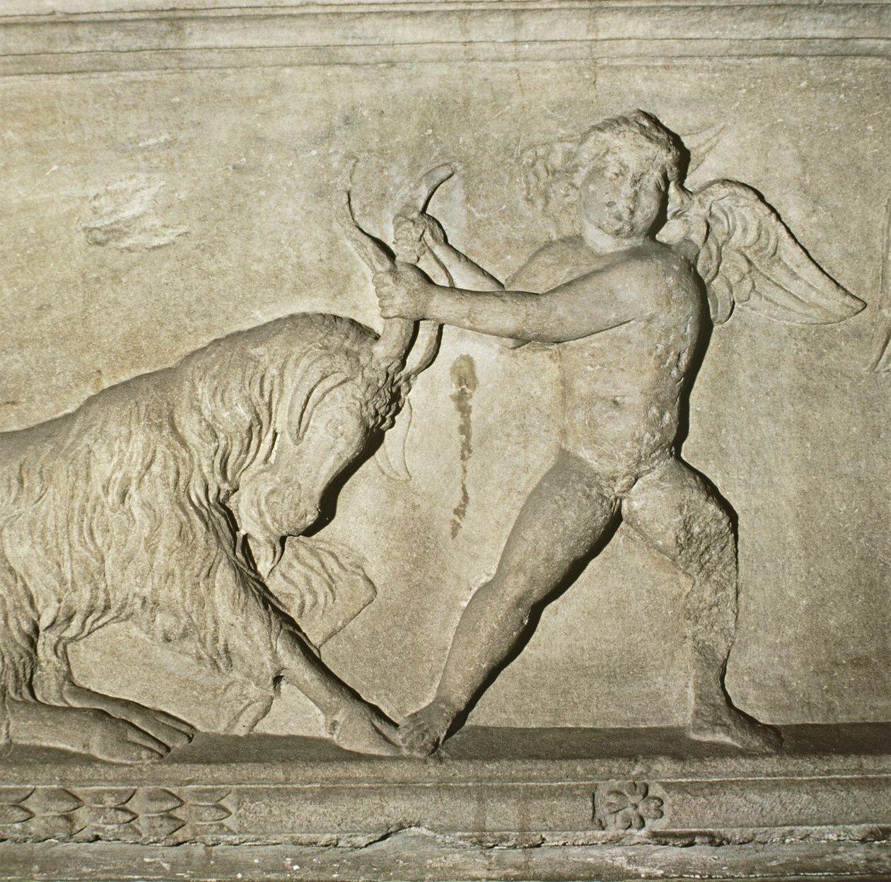 Dettaglio di un sarcofago greco da Lidia, raffigurante un putto che lotta con una capra (marmo) da Unbekannt