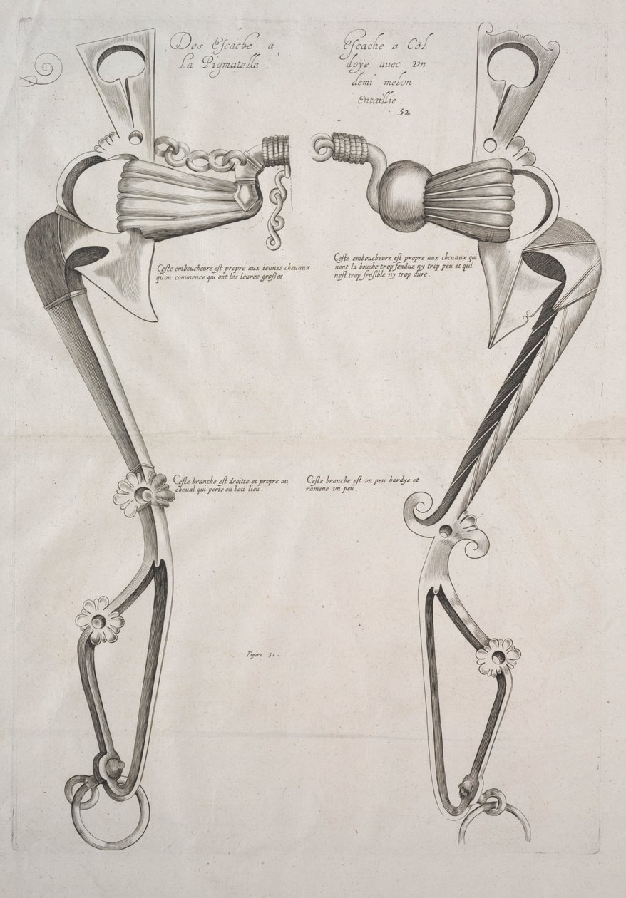 Diagramma per il morso del cavallo, 1700s da Unbekannt
