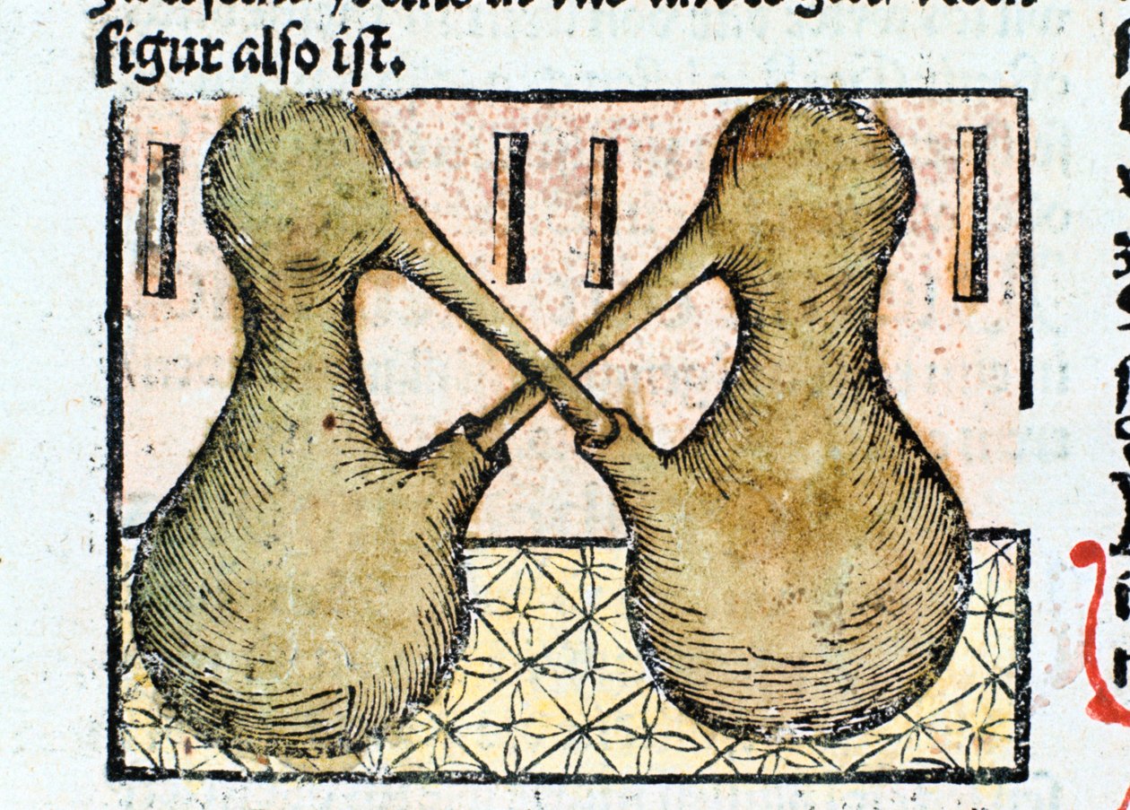 Distillazione, 1500 da Unbekannt