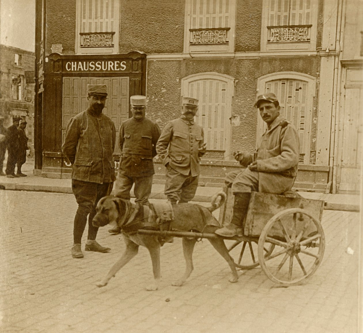 Carretto per cani, Francia, c1914-c1918 da Unbekannt