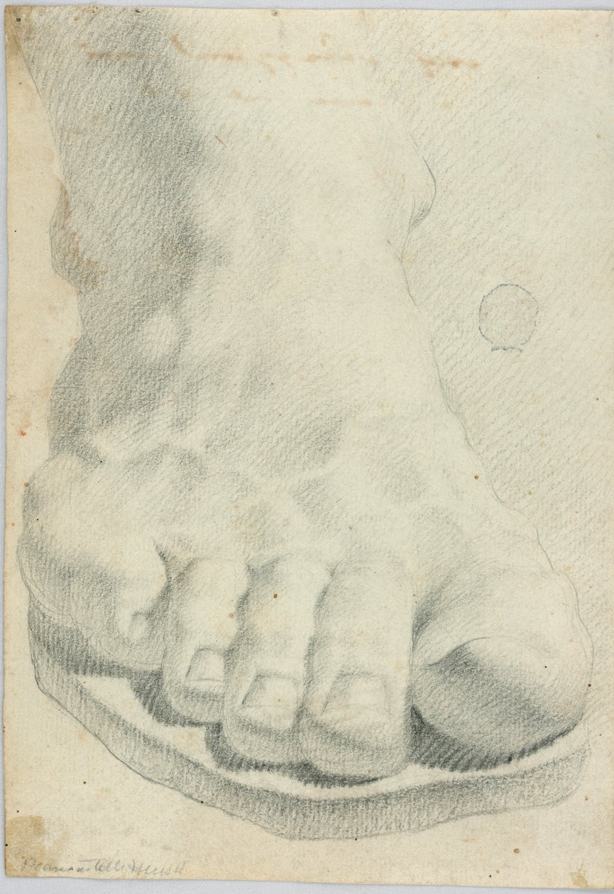 Disegno da Unbekannt