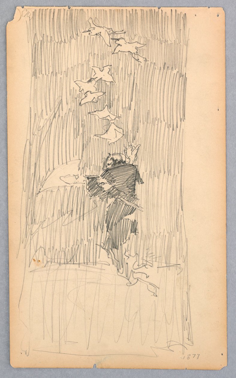 Disegno (USA) da Unbekannt