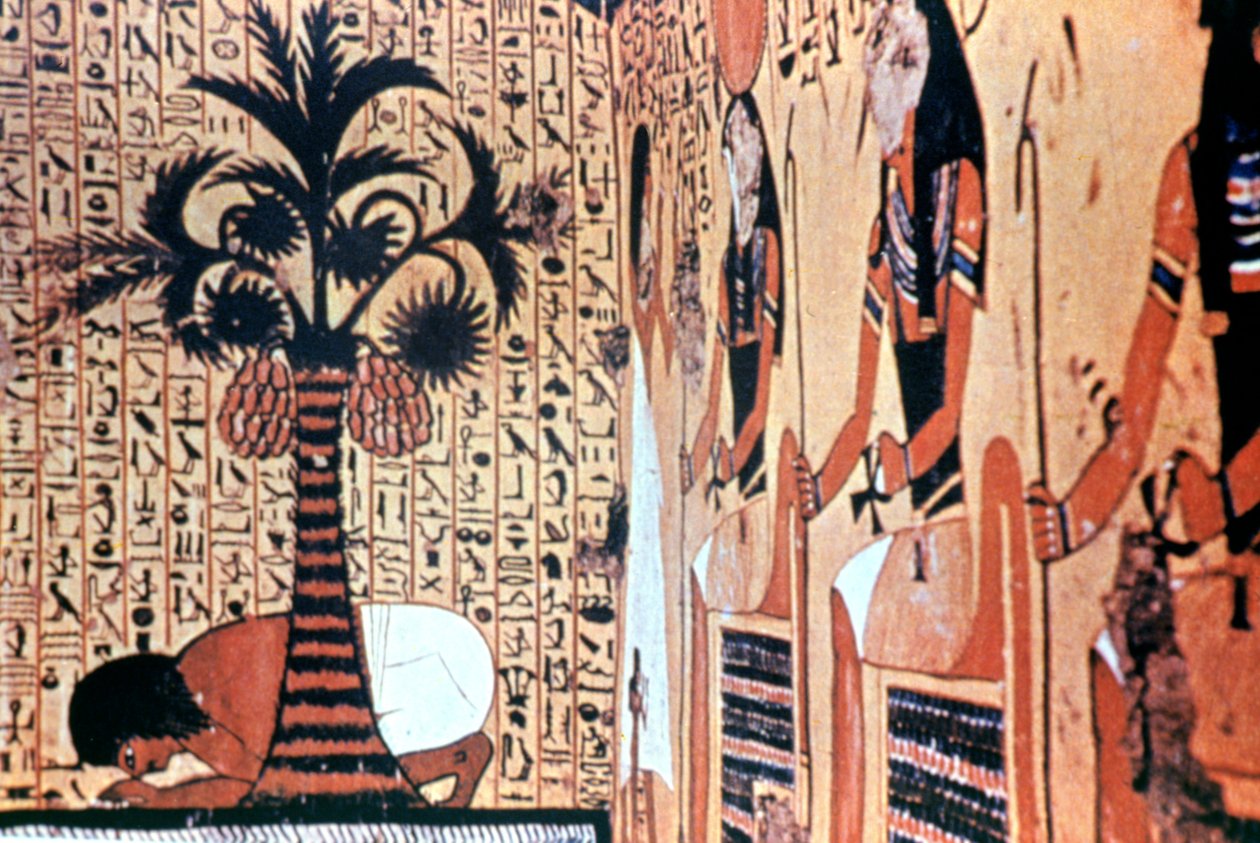 Bere dal fiume, pittura murale del tempio, Tebe, Egitto da Unbekannt