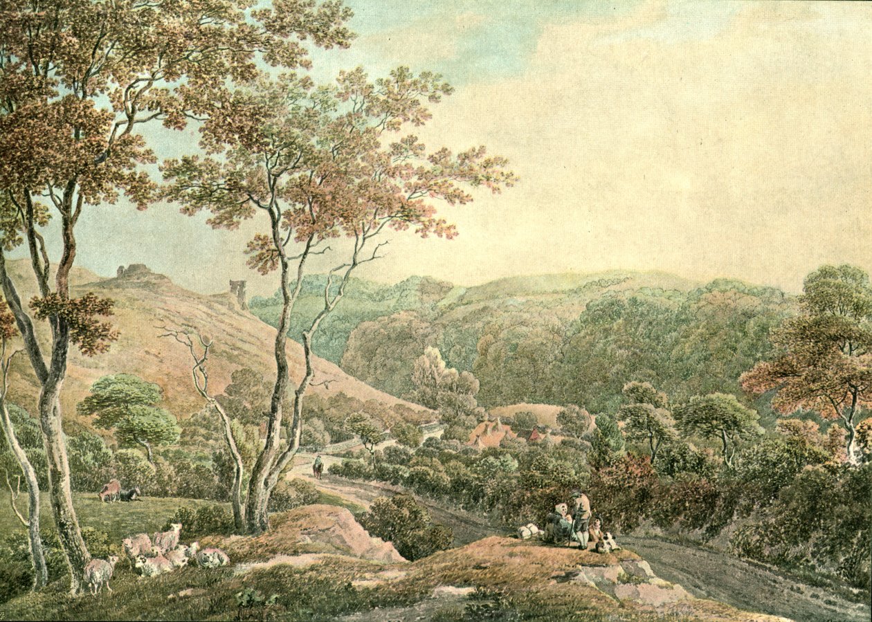 Castello di Drusllwyn, Caermarthenshire, c1900 da Unbekannt