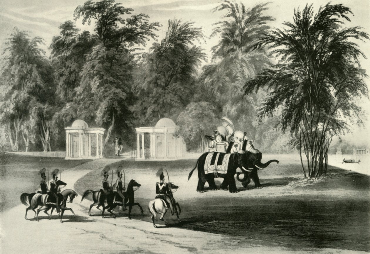 Elefanti e guardia del corpo nel Parco di Barrackpore, 1820, 1925 da Unbekannt