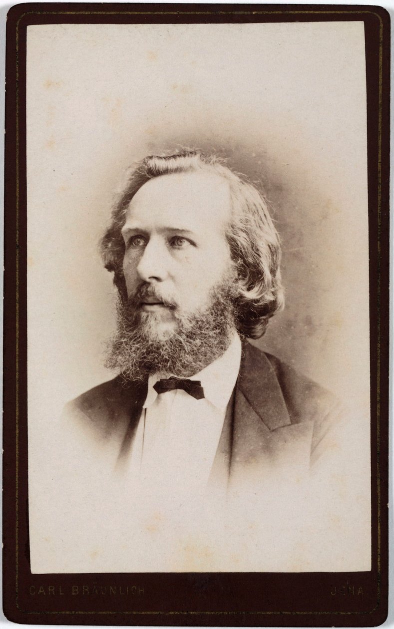 Ernst Haeckel, naturalista tedesco, c 1860s da Unbekannt