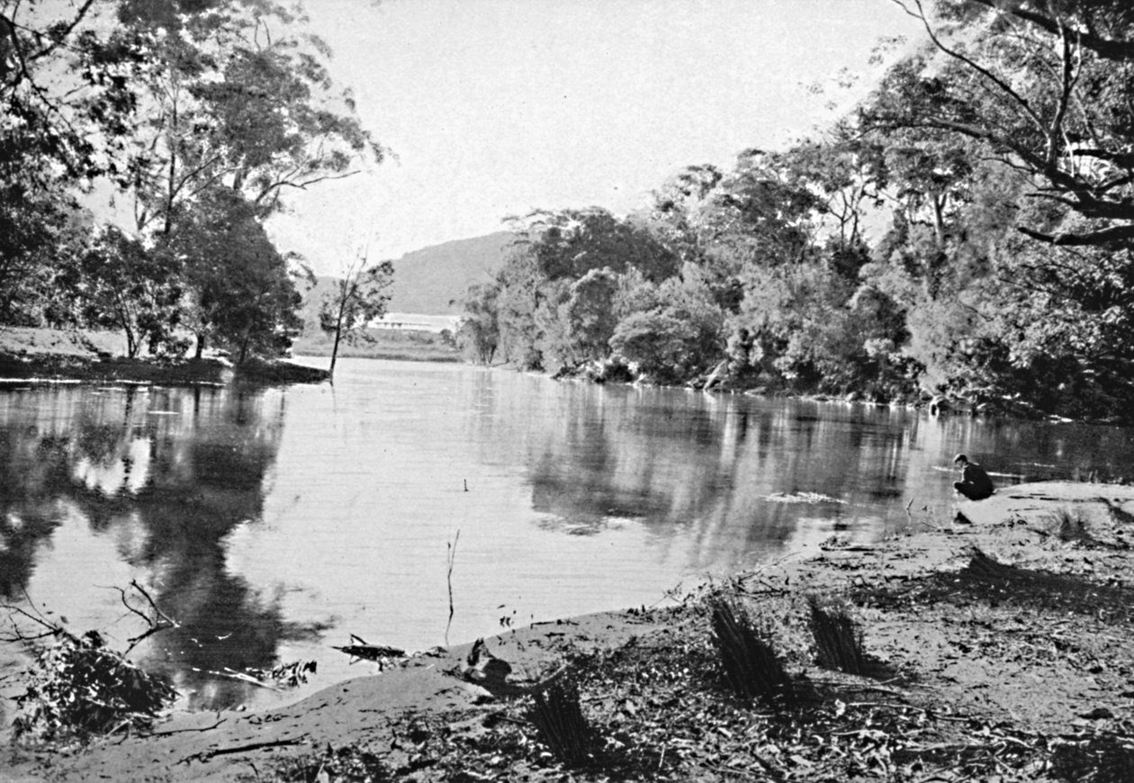 Ombre serali, Parco Nazionale, c. 1900 da Unbekannt