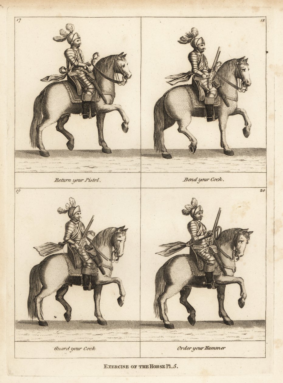 Esercizio del cavallo da Unbekannt