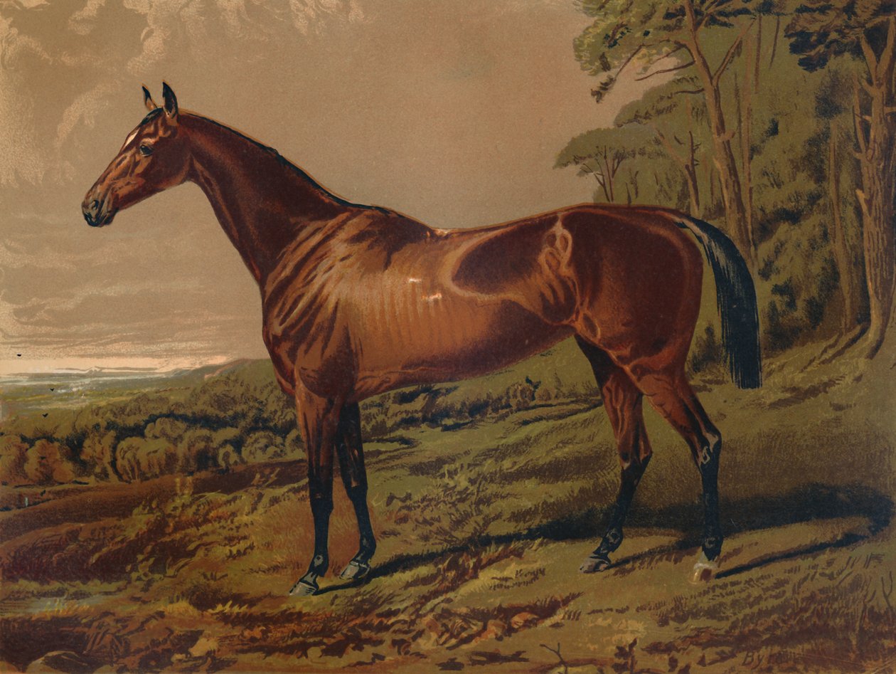 Bella Nell, c1879 da Unbekannt