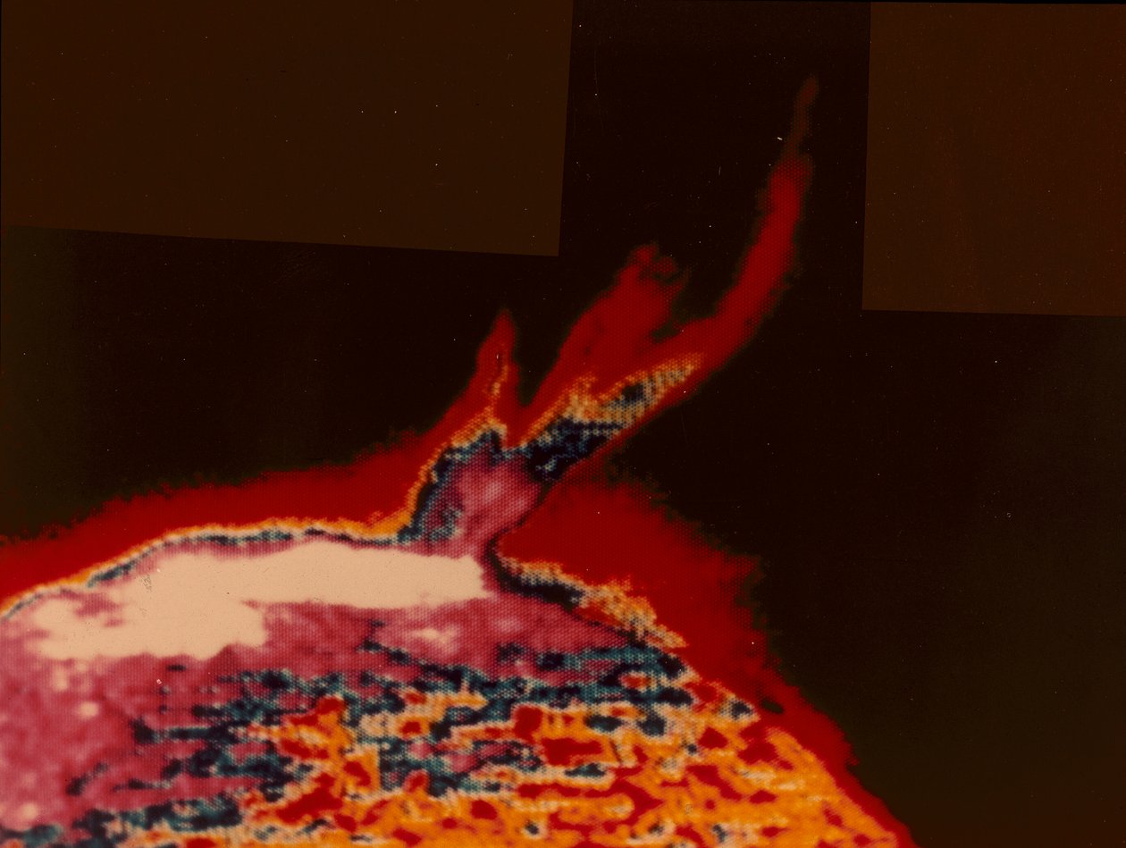 Immagine a falsi colori di un brillamento solare da Skylab, 1973 da Unbekannt