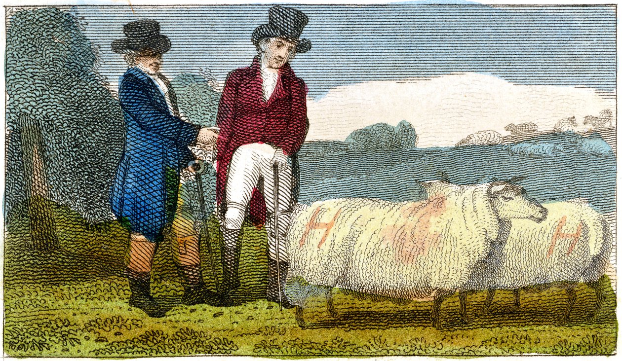 Contadini che discutono delle pecore Dishley New Leicester, 1822 da Unbekannt