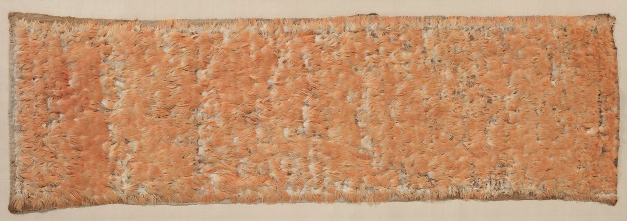 Pannello piumato, 600-1500 da Unbekannt