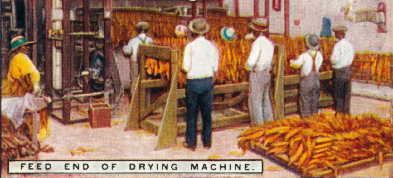 Estremità di alimentazione della macchina di essiccazione, 1926 da Unbekannt