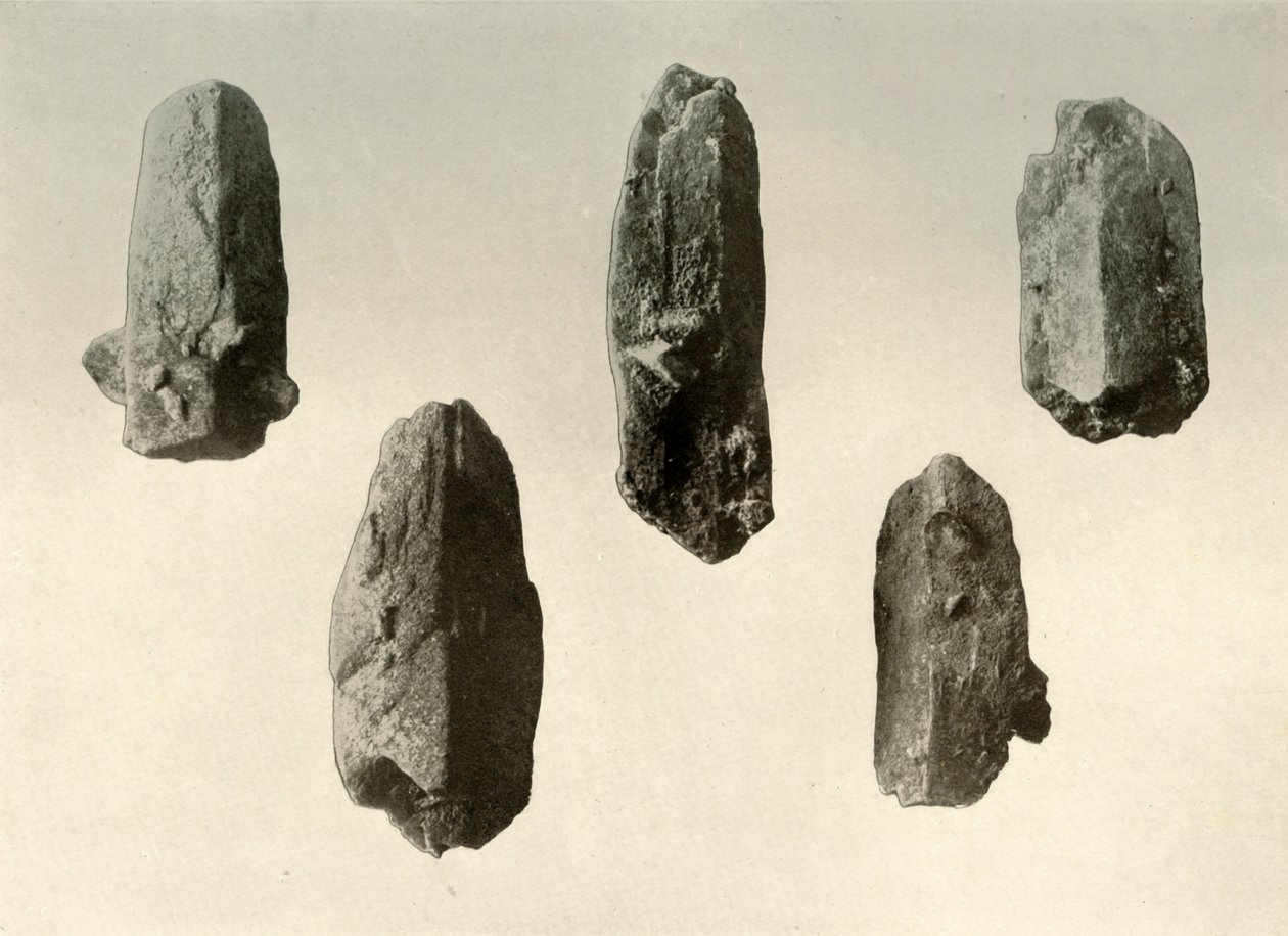 Cristalli di feldspato dalla cima del Monte Erebus Dimensione naturale, 1909 da Unbekannt
