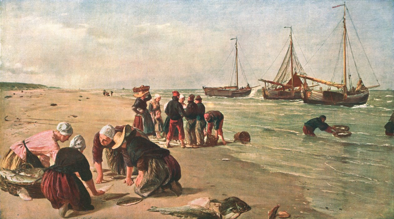 Pesci dalla Dogger Bank, Scheveningen, Olanda, 1870, c1902 da Unbekannt