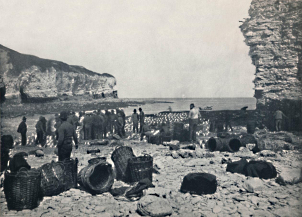 Flamborough - I pescatori al lavoro, 1895 da Unbekannt