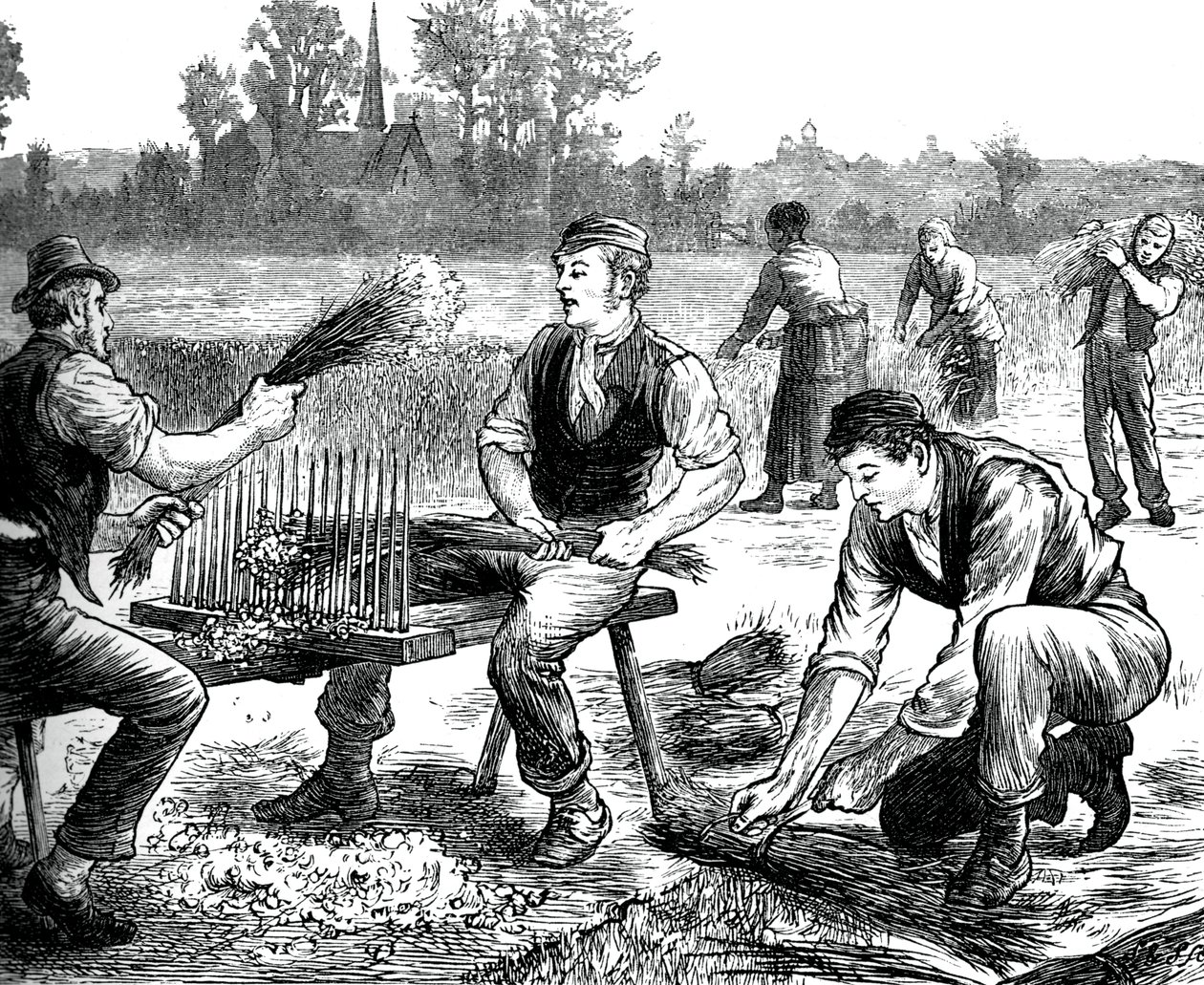Pettinatura del lino, c1880 da Unbekannt