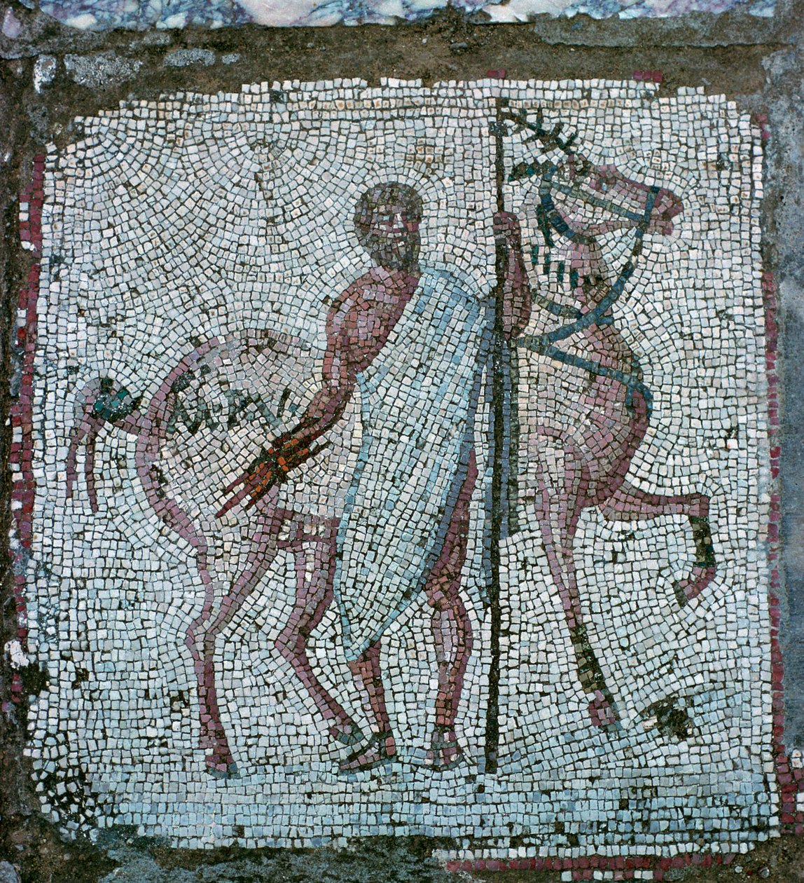 Mosaico pavimentale di una villa romana da Unbekannt