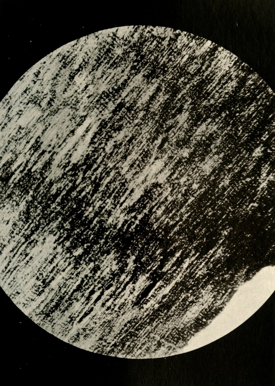 Legno fossile in arenaria, da una morena a latitudine 85° Sud, c1908 da Unbekannt