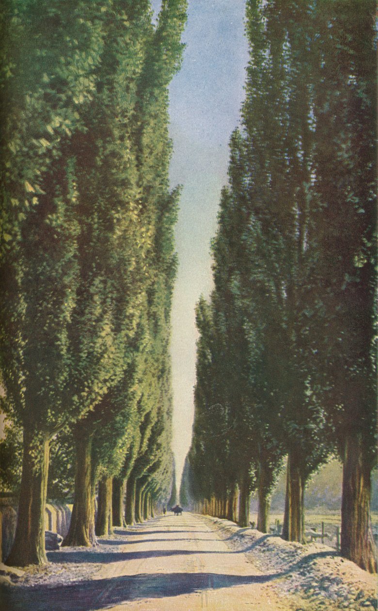 Francia, c1930s da Unbekannt