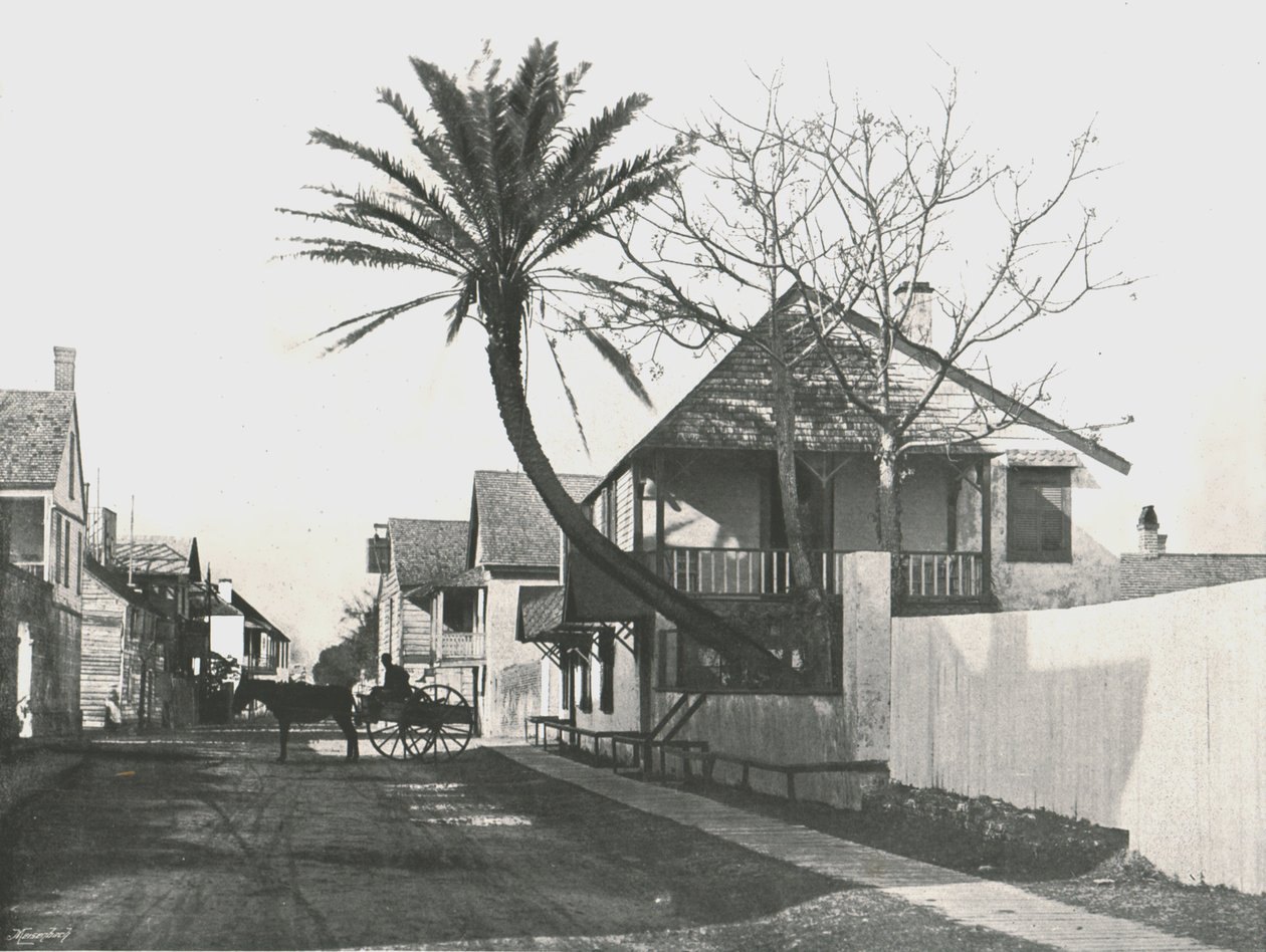 Francis Street, St Augustine, USA, 1895 da Unbekannt