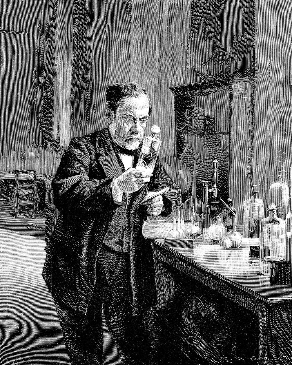 Chimico e microbiologo francese Louis Pasteur 1822-1895 da Unbekannt