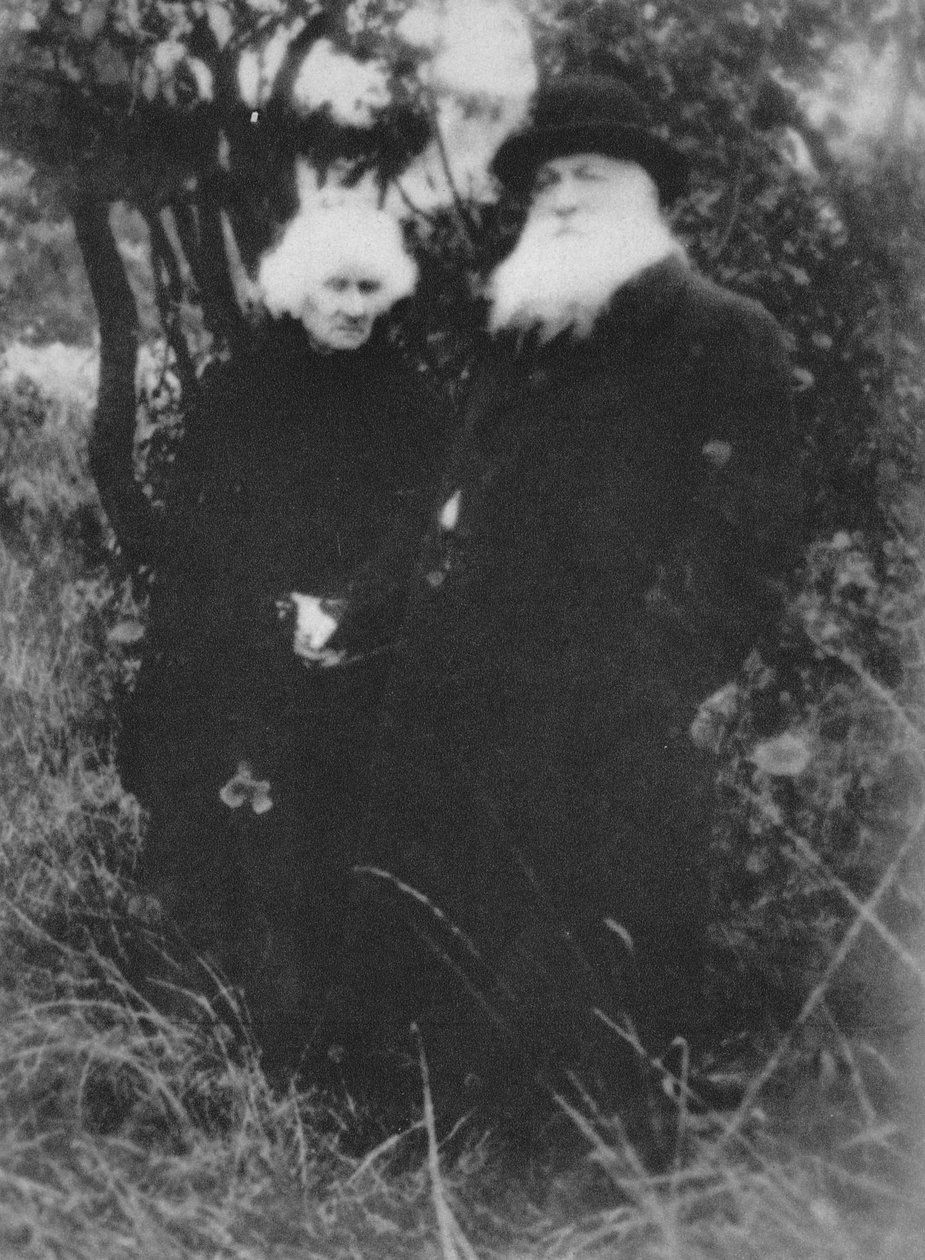 Scultore francese Auguste Rodin fotografato nel parco della sua villa a Meudon, 1916, 1939 da Unbekannt